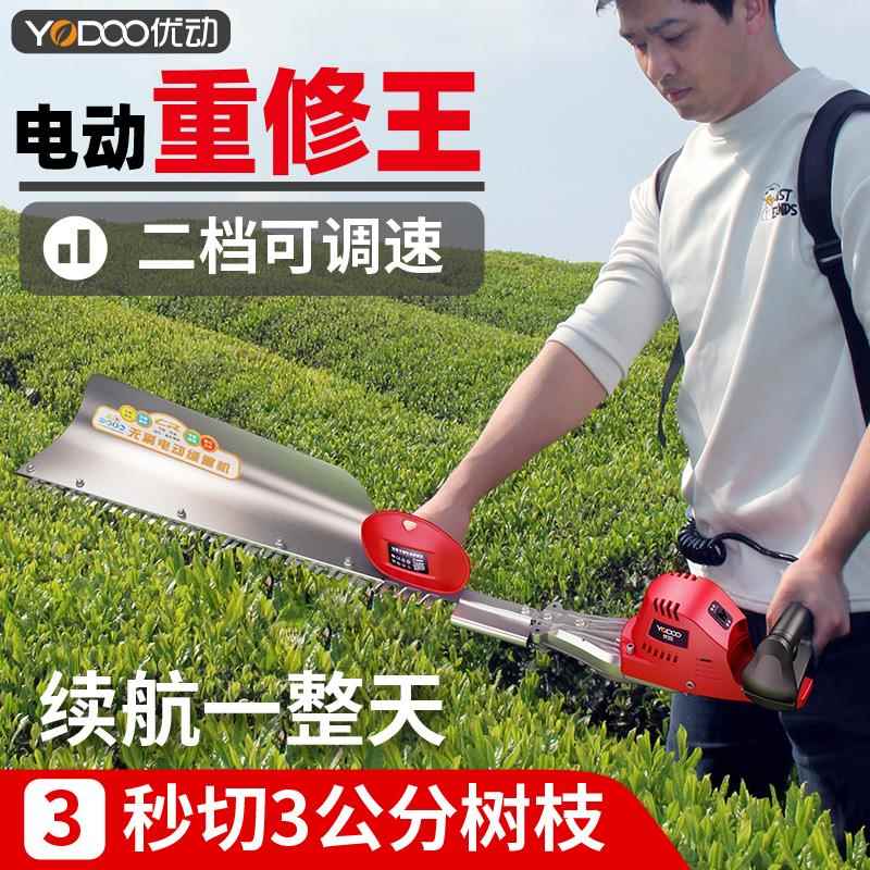 重绿修充电式无刷枝锂电动剪修剪机大功率粗YD-ZX-25枝修机篱修机