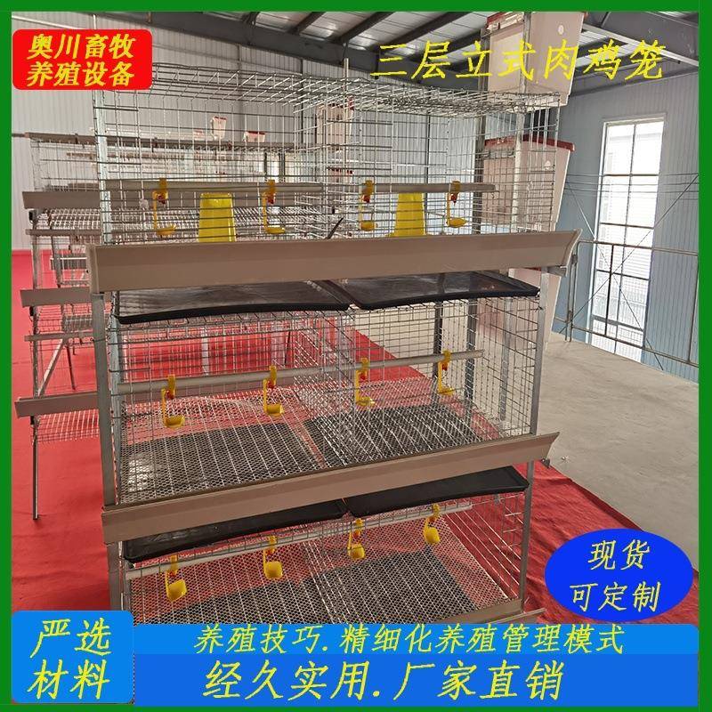 厂家鸡养殖设备三层两门冷镀肉鸡笼半自动养鸡设备鸡笼养殖场鸡舍