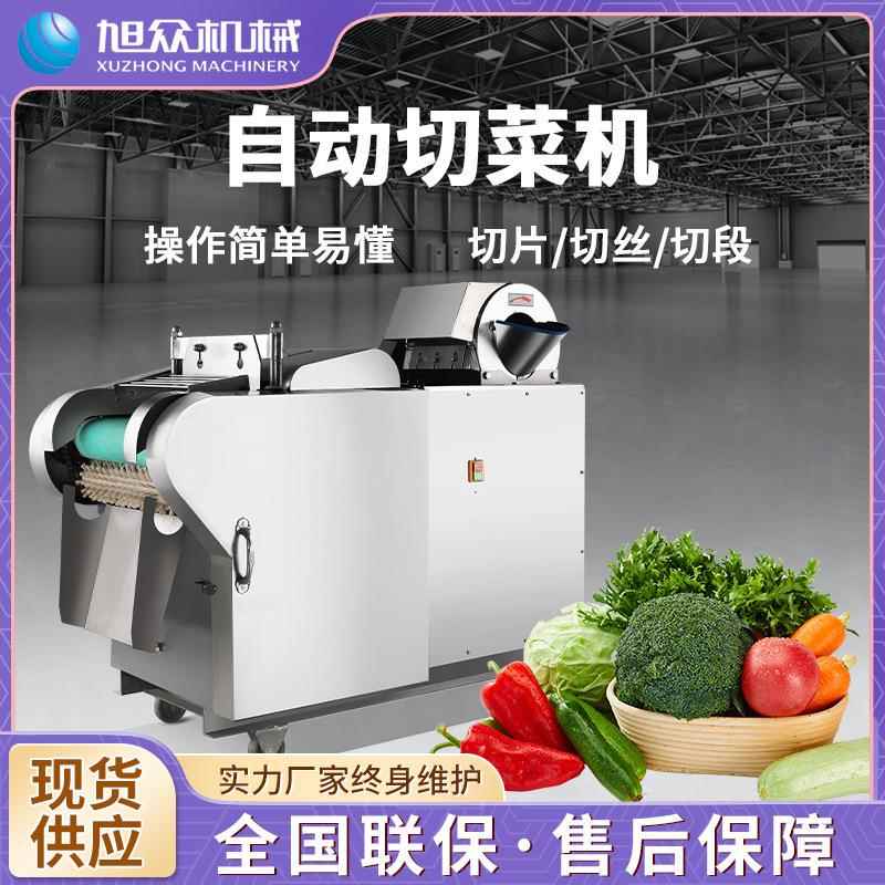 自动果蔬切菜机商用学校食堂胡萝卜棱形多功能切片切丝机厂家直销