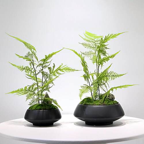新中式彷真绿色植物盆景样板房客厅茶几样品屋展示中心玄关植物文