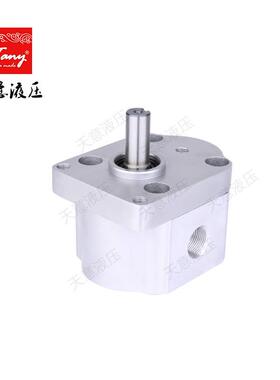 提供双向齿轮泵CBDS专-3CBS-D32020电液推杆中小型工程油机械用增