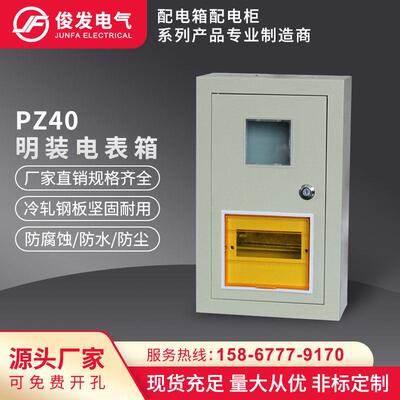 PZ40明装电表箱1/2/3/4/6/8户单相家用配电箱铁质挂墙强电箱直销