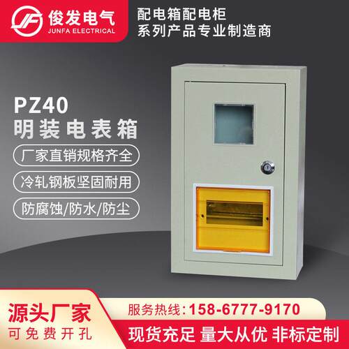 PZ40明装电表箱1/2/3/4/6/8户单相家用配电箱铁质挂墙强电箱直销