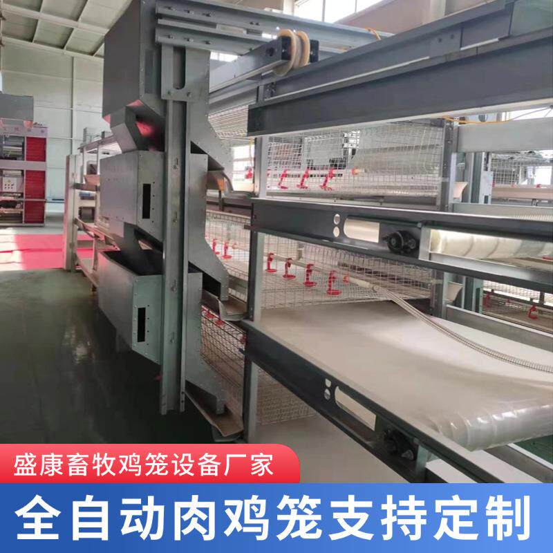 全自框架肉鸡笼鸡舍养殖场养鸡肉鸡笼多层叠立式自动清粪肉鸡笼