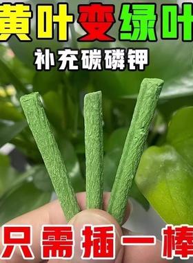 Plant Nutrient Bars Slow-Release Fertilizer for Potted Flowe