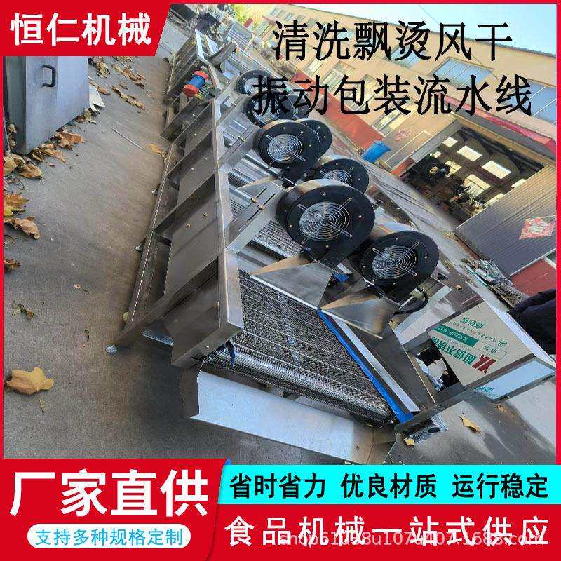 厨房果蔬气泡清洗机西红柿黄瓜全自动清洗机银耳木耳清洗流水线