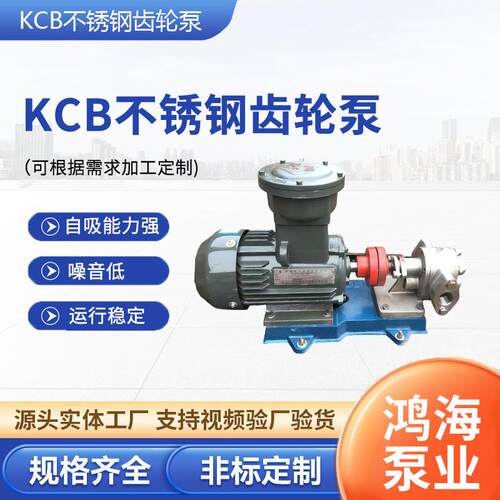 不锈钢泵KCB18.383.3食品输送泵高压高温液压304不锈钢齿轮油泵