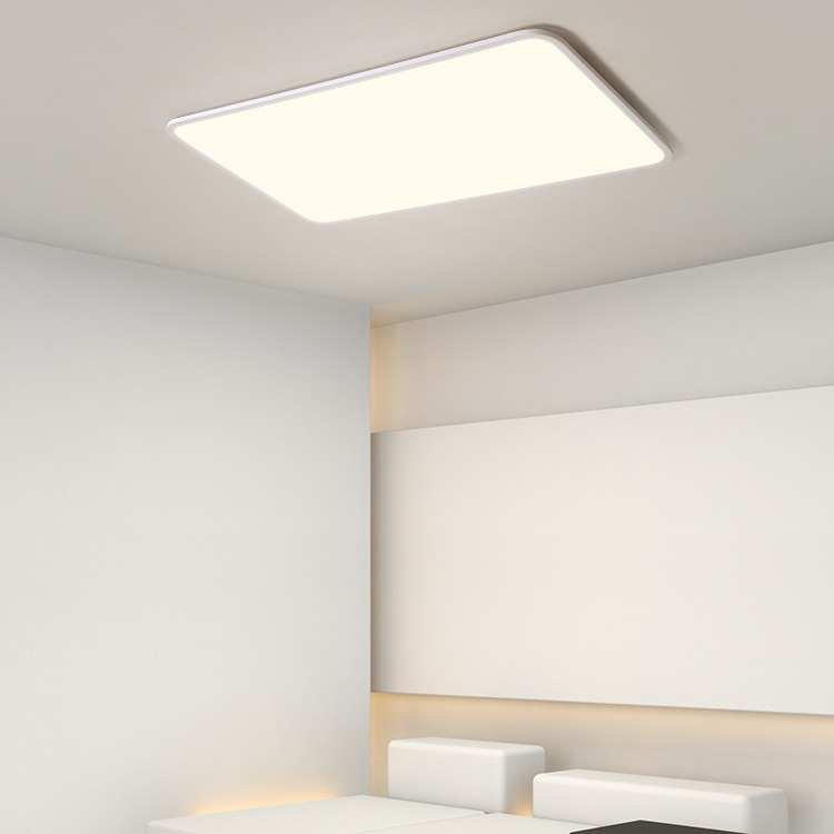 【严选】客厅灯现代简约灯大厅主灯白色1cm极简长方形吸顶灯