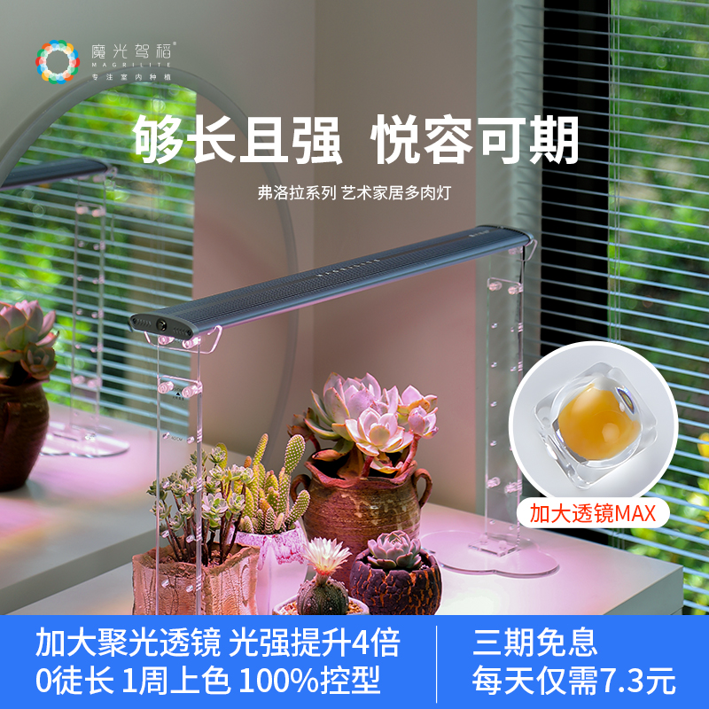 魔光駕稻植物補(bǔ)光燈生長(zhǎng)燈多肉上色led綠植家用夢(mèng)幻長(zhǎng)直排0002款