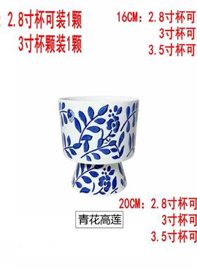 青花瓷纹蝴兰陶瓷花盆中器风室内复古国装蝶饰瓷绿植花卉通UUM用