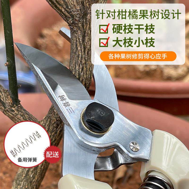三喜树130剪刀修枝剪果树园林修枝剪刀省力修剪粗枝树枝果树专用图片