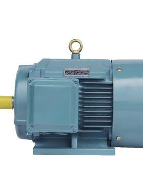 三相异步电动机YE4 22KW4P纯铜铜22千瓦4极交流电机马达