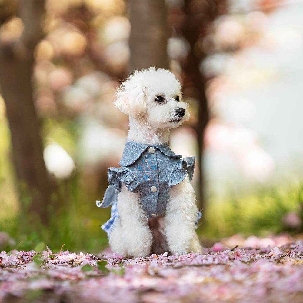 亚马逊跨境泰迪小型犬宠物牛仔裙子狗狗衣服春夏薄款透气公主裙