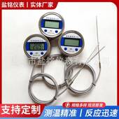 厂家供应 温度传感器 就地数字显示现场显示温度探头热电偶