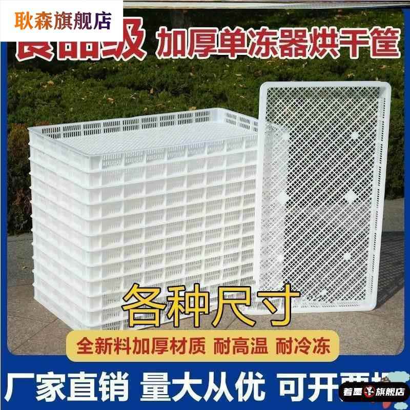 沥水网格板晒东西的干货网长方形食物晾晒筐塑料单冻器冷冻烘干盘