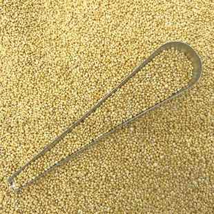 黄谷子 红谷子 混合带壳 粟谷中小型鹦鹉 鸟粮鸟食饲料