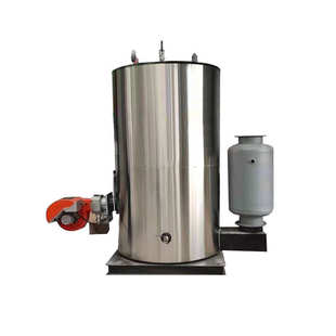 生物质蒸汽锅炉厂家生物质蒸汽发生器燃煤蒸汽锅炉导热油锅炉