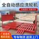 全自动大型车辆冲洗平台洗车台池洗车槽建筑工地洗轮机工程洗车机