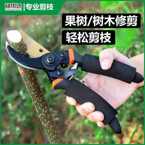 园林剪德国花剪树枝专用剪刀修枝剪果树剪花园剪林园剪艺剪子日本