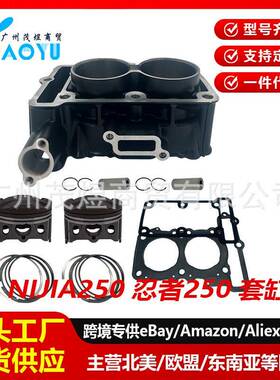 适用川崎KAWASAKI小忍者Ninja250套缸气缸活塞环KLE双缸水冷EX250