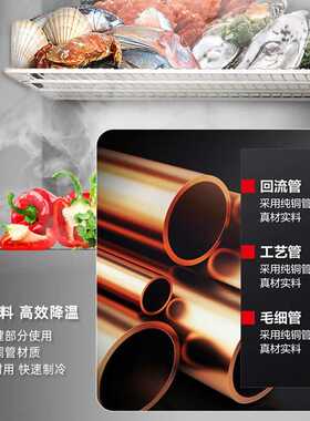 柜冰柜展示四门冰箱用厨房设备达立式v广东商业格林斯制冷款星星