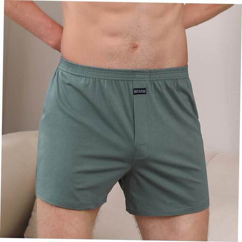 4X Mens boxer briefs loose men boxers underpants under wear