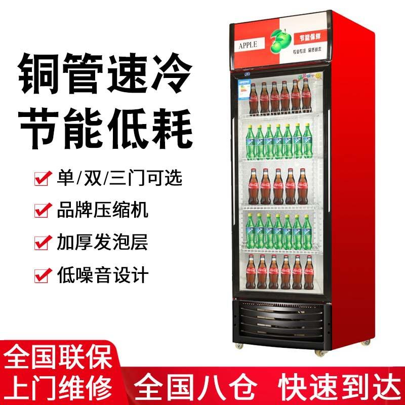 商用冷藏展示柜单门饮料柜商用双开门保鲜柜立式啤酒冰柜