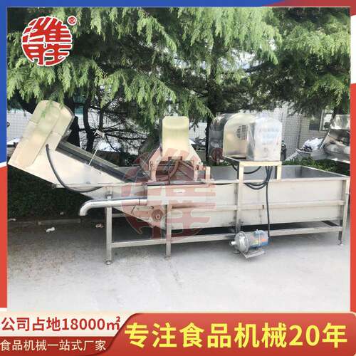 芸豆清洗设备莴笋高压喷淋果蔬清洗机循环水使用花生气泡清洗机