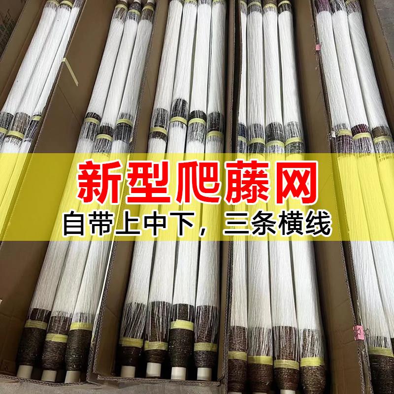 新型瓜豆爬藤网三条线直线四季豆角荷兰豆豌豆黄瓜丝瓜番茄辣椒
