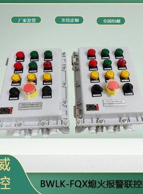 工业炉燃烧加装自动点火器和器BWLK-FQX火熄保装护置
