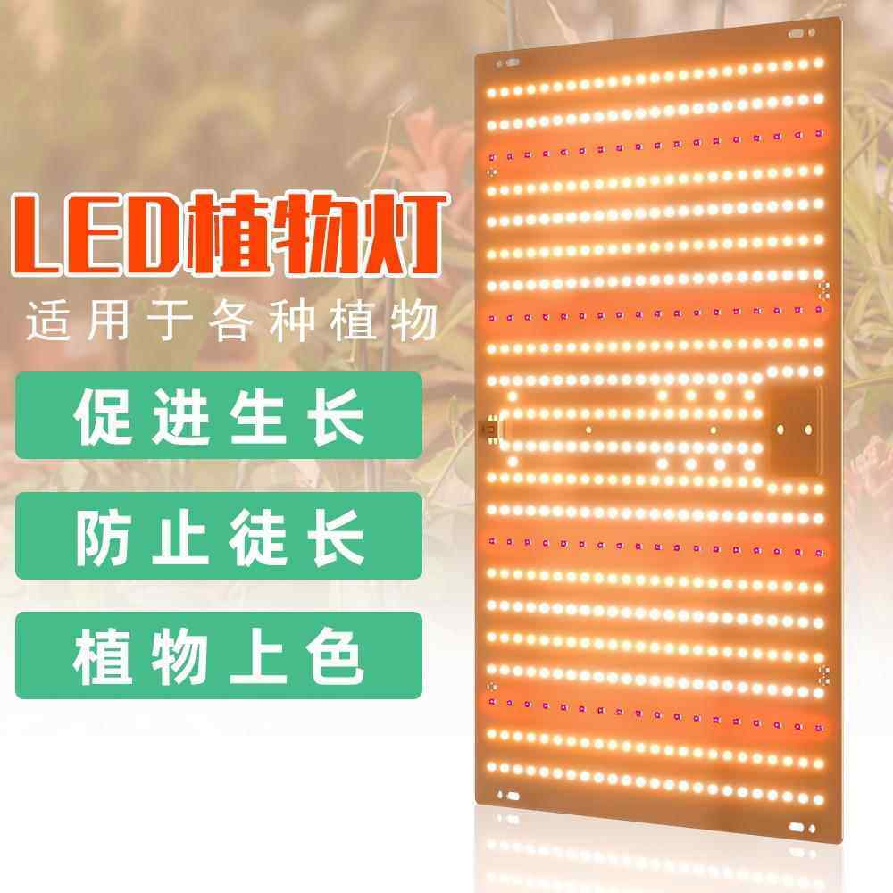 谦润照明多肉补光灯家用上色全光谱LED植物生长灯室内兰花卉蔬菜