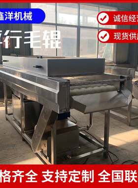 不锈钢平行毛辊清洗机橙子红薯清洗抛光设备生蚝海鲜清洗打蜡机
