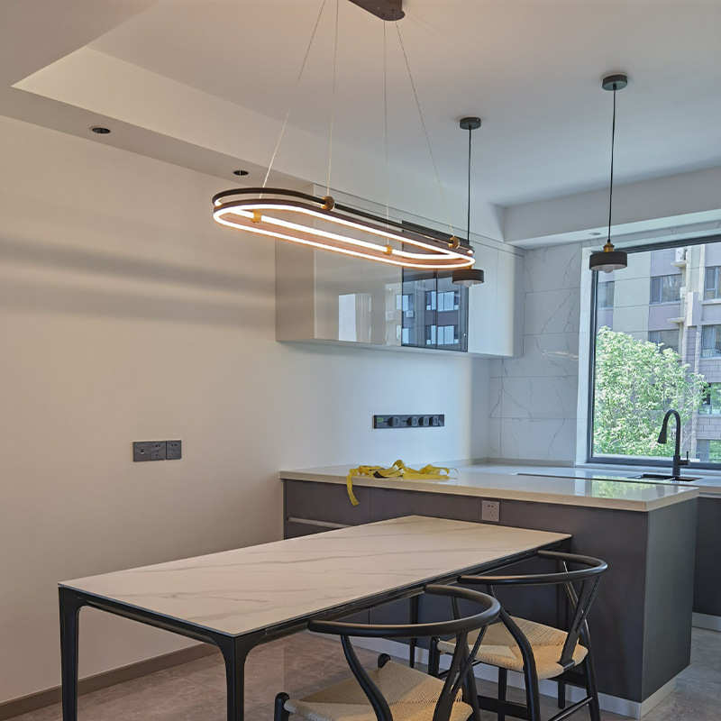 2022  led餐厅吊灯极简北欧风格创意椭圆形时尚现代简约吧台灯具