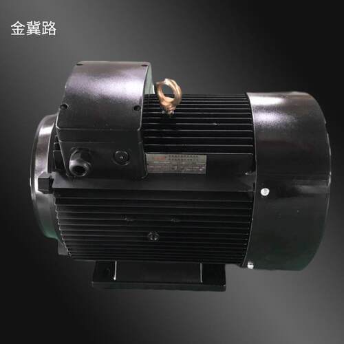 供应YE3.YE4系列及各种型号9.5W-4壳清洗机用三相异步电动机