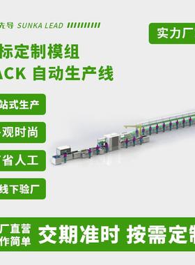 储能锂池KPAC模组生产流水锂电池装配线生电产393组装产线制造设