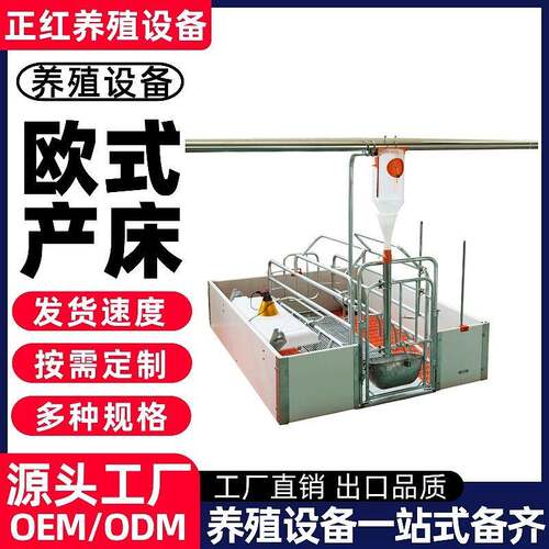 正红养殖设备养殖场猪场欧式产床单体双体母猪产床母猪分娩床