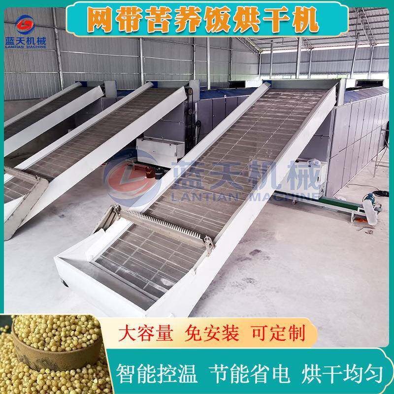 网带苦荞饭烘干机连续式剩饭蒸熟米饭烘干设备苦荞米饭干燥机