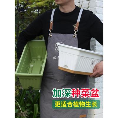 牧狼人阳台种菜盆长方形家庭蔬菜草莓盆栽专用花盆塑料种植箱挂架