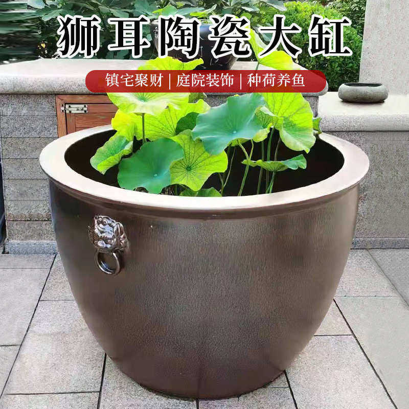 老式庭院水缸别墅陶瓷龙鱼缸庭院仿古荷花盆禅意狮耳后花园养金鱼