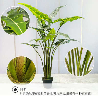 仿真绿植萨利安海芋家居商场橱窗装饰室内植物落地摆件盆栽批发