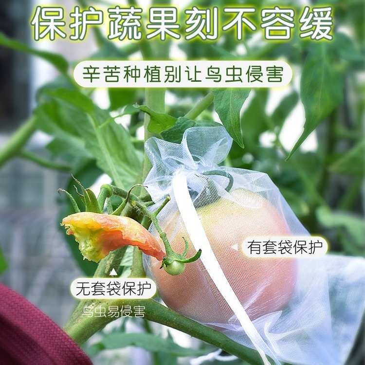防虫保护袋水果树上包装袋果实袋套袋套果袋包果袋批把桃葡萄