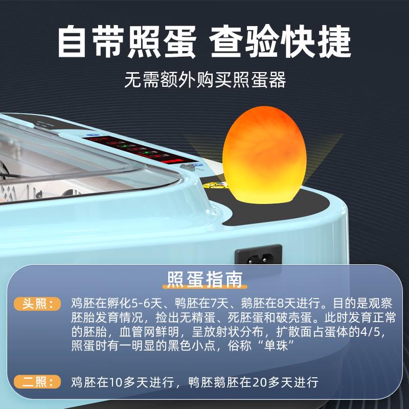 孵化机智能孵化箱小型家用孵化器小鸡鸭鹅孵化箱鸽子芦丁鸡孵蛋器