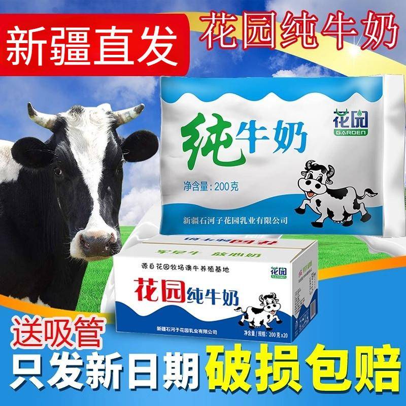 新疆花园牛奶整箱全脂纯牛奶200g*20袋鲜牛乳早餐奶
