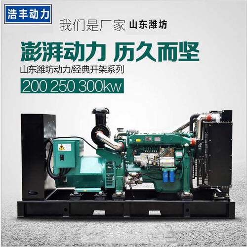 备用刷发电机组200kw千瓦无潍坊250系列大型柴油养殖场电源自动化