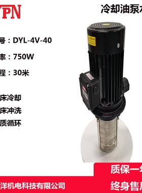 广东德洋厂家DYL4V40数控机床冷却水泵不锈钢水泵 抛光机水泵