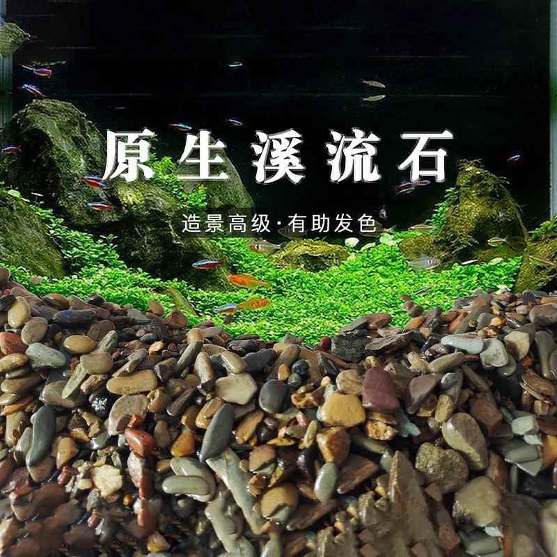 原生鱼缸造景底砂溪流石水草龟缸雷龙鱼草南美缸装饰铺底 溪流砂
