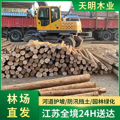 杉木原木桩户外河道驳岸实木打桩木堤坝防汛木桩落叶松圆木桩