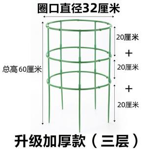 花架子家用支架通用型蟹爪兰花架莲花护叶架子园艺盆栽支撑杆