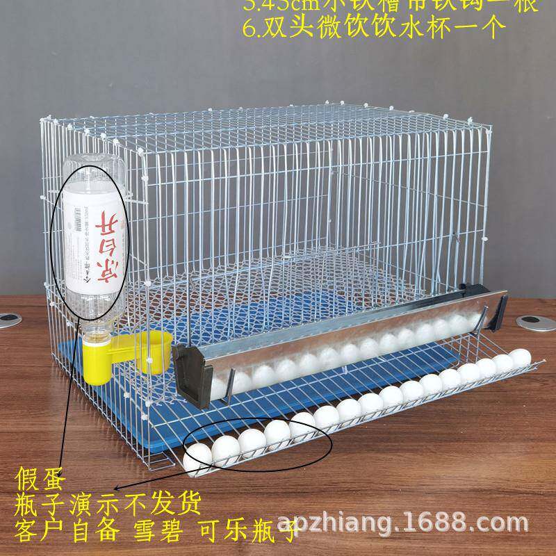 芦丁鸡养殖笼小型滚蛋鹌鹑笼家庭养殖小鸡鸟类鹧鸪鸽子鹦鹉下蛋笼