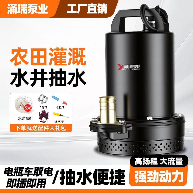 堡讯适用电瓶电动车直流潜水泵水泵抽水家用高扬程大流量12V24V48